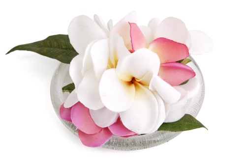 Frangipani Scented Diffuser Sample 2ml - Image 3