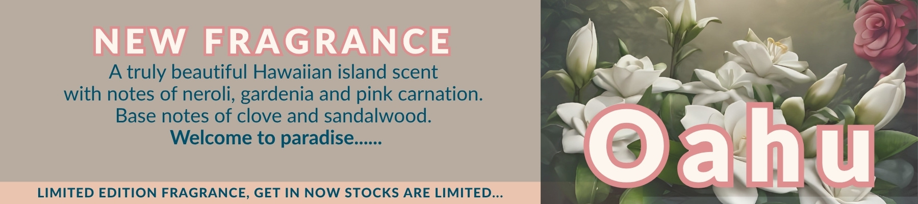 Oahu Be Enlightened Limited Edition Fragrance in candles diffusers and oils